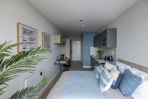 Floor Plan  Studio at Boutique Swansea in Swansea