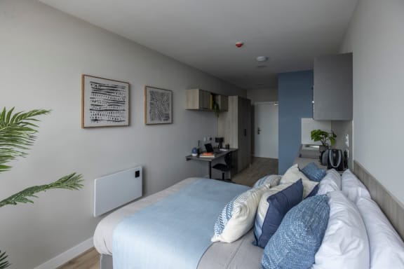 Floor Plan  Studio at Boutique Swansea in Swansea