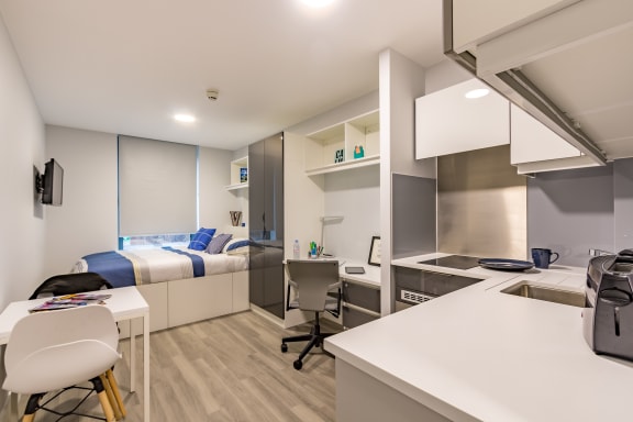 Floor Plan  Premium Studio at ViBe Student Living, student accommodation in Kingston