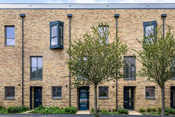 A row of houses with black doors and windows.