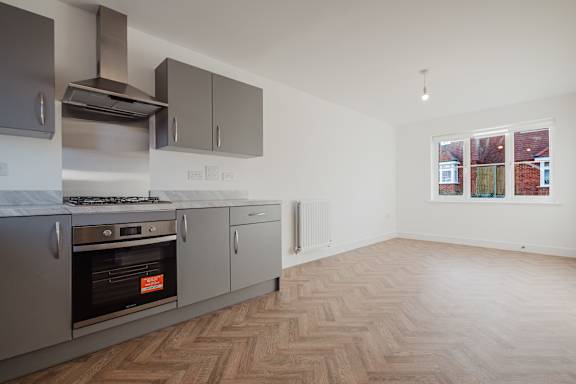 A kitchen with a stove top oven and a range hood.