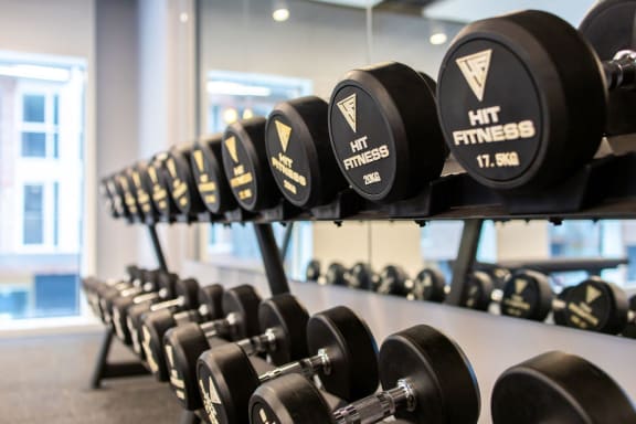 a rack of dumbbells in the gym