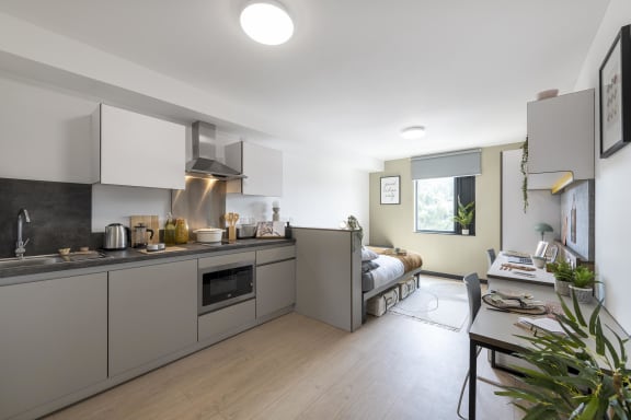 Floor Plan  a kitchen and living room in a small apartment