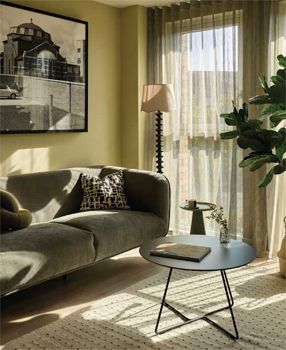 a couch with pillows and a plant in a living room