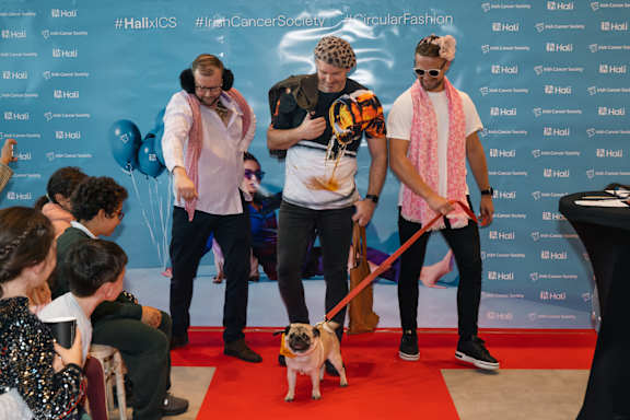 A small dog is walking on a red carpet with three people standing behind it.