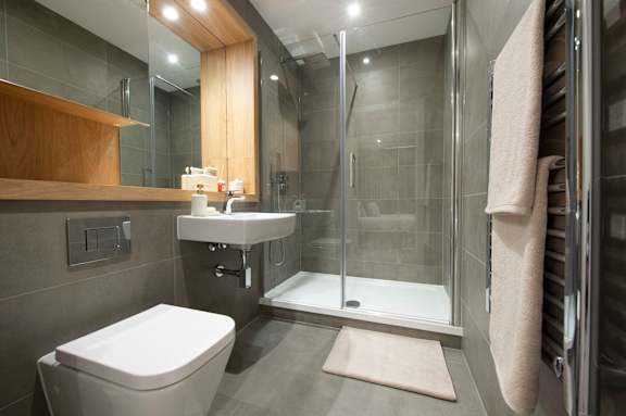 A modern bathroom with a walk-in shower and a toilet.