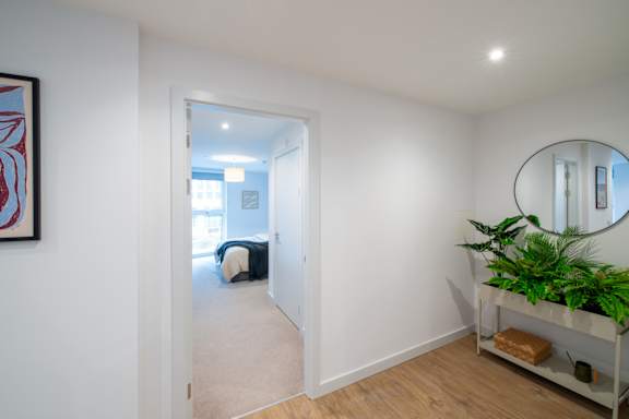 A room with a mirror and a plant on a shelf.