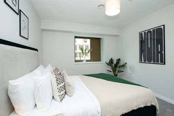 A bedroom with a bed, pillows, a window, and a plant.