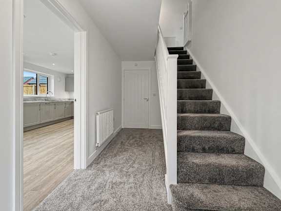 A staircase with a carpeted runner and a white railing.