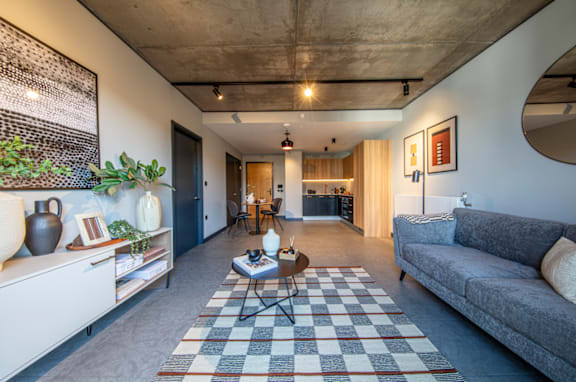 A living room with a grey couch and a checkered rug.
