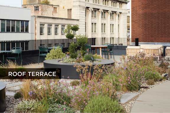 A garden with a variety of plants and a sign that says "ROOF TERRACE".