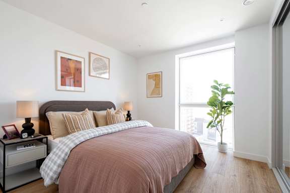 A bedroom with a large bed and a plant in a white pot.