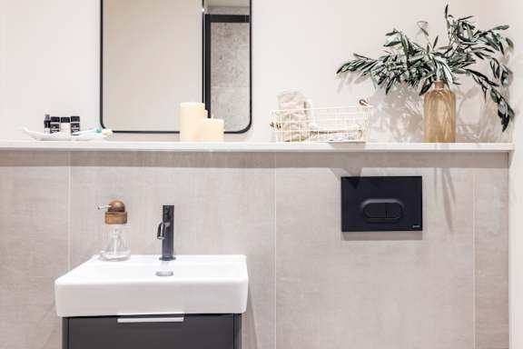A bathroom sink with a mirror above it and a plant to the side.
