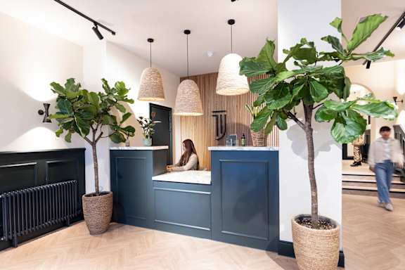 A woman is sitting at a reception desk with two potted trees on either side.