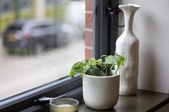 A white vase and pot with green plants on a windowsill.