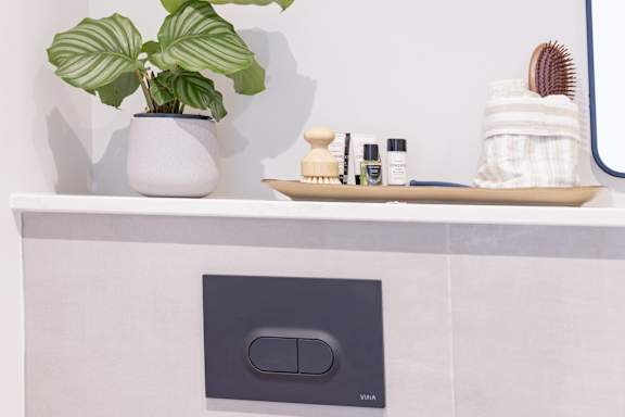 A bathroom sink with a plant on the counter.