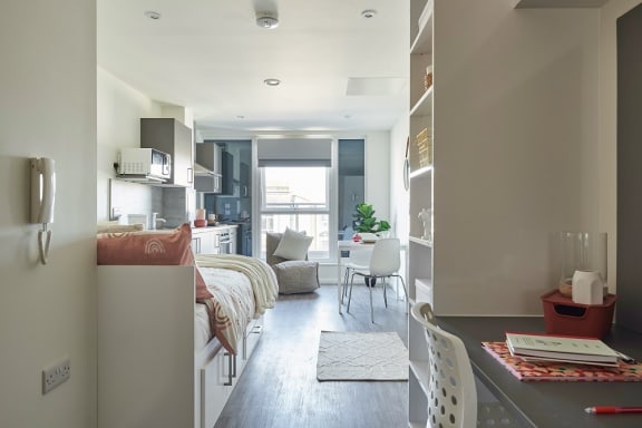 Floor Plan  Standard Studio