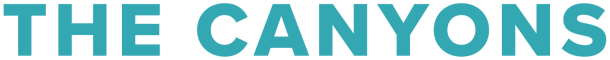 a turquoise graphic of the word hollywood with the word love on it