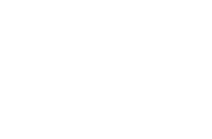 DF-Watermark-Logo-NB