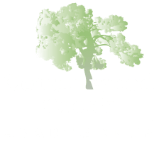 Cottonwood Creek