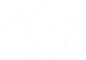 the logo for the football team
