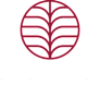 Lica