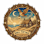 A logo for Shell Cottage, established in 1997, features a house, an owl, and a lantern within a circular frame.