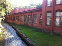 Celtic Property Management, LLC | Apartments in Hartford, CT | RENTCafe
