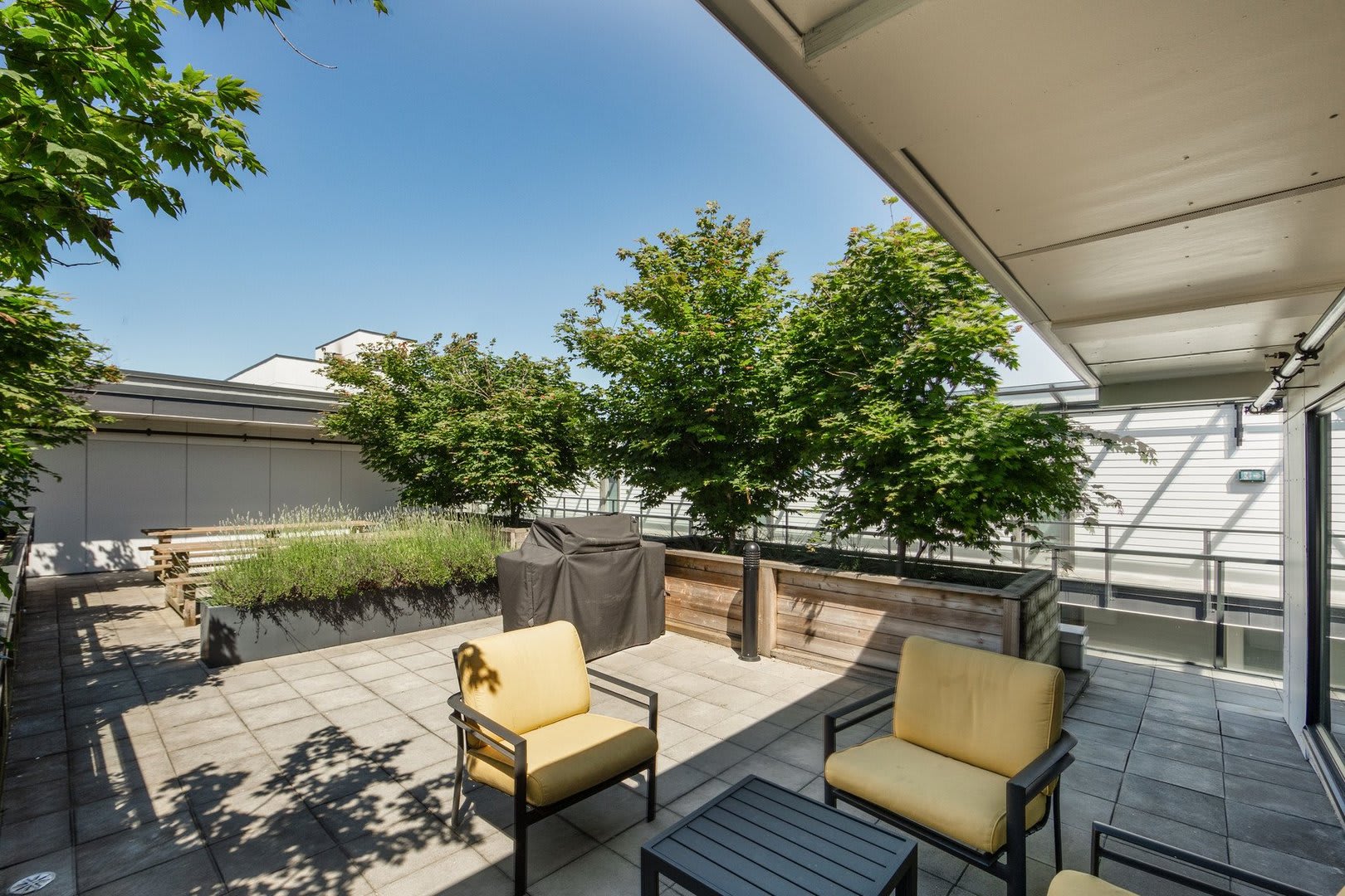 388 Kaslo East Village Apartments - 388 Kaslo East Village 1 Bed 1 Bath D 5