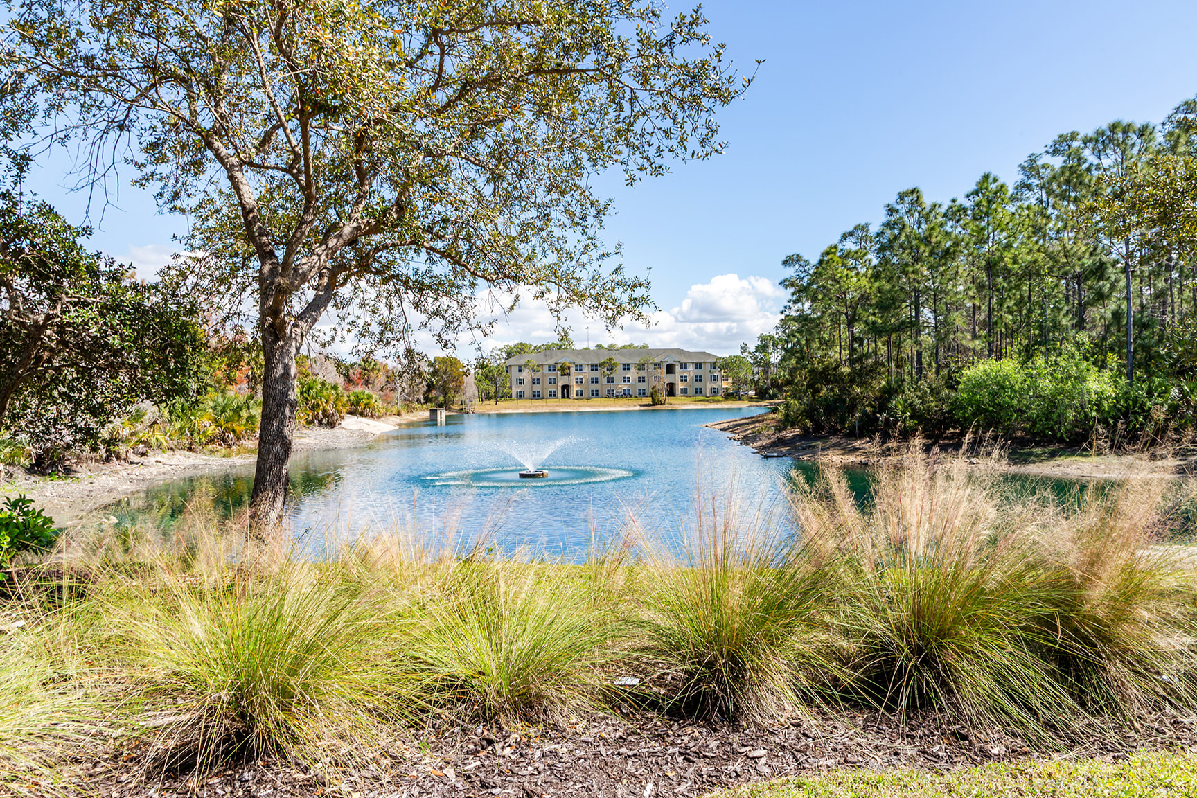 Summer Lakes 8 of 10