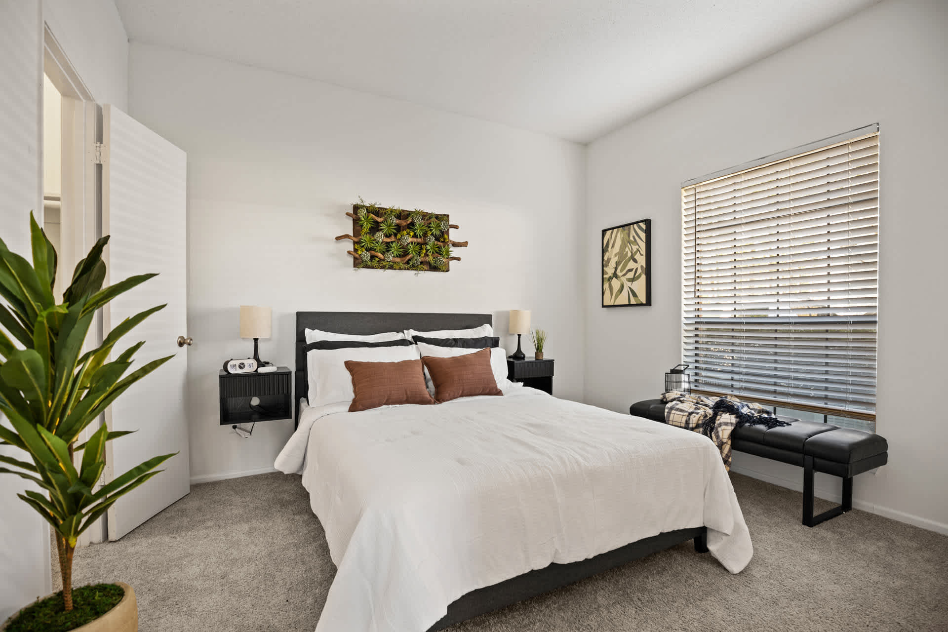 Oak City Apartments 5 of 11