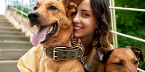 Dog-friendly amenities
