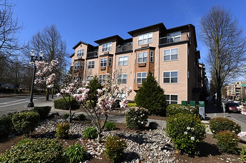 Axcess 15 Apartments 1 of 1