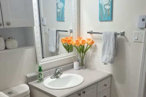 Main photo of rental property: 969 Regent Street - Two Bedroom + Balcony - 936 Ft² - $1625 in Fredericton, NB