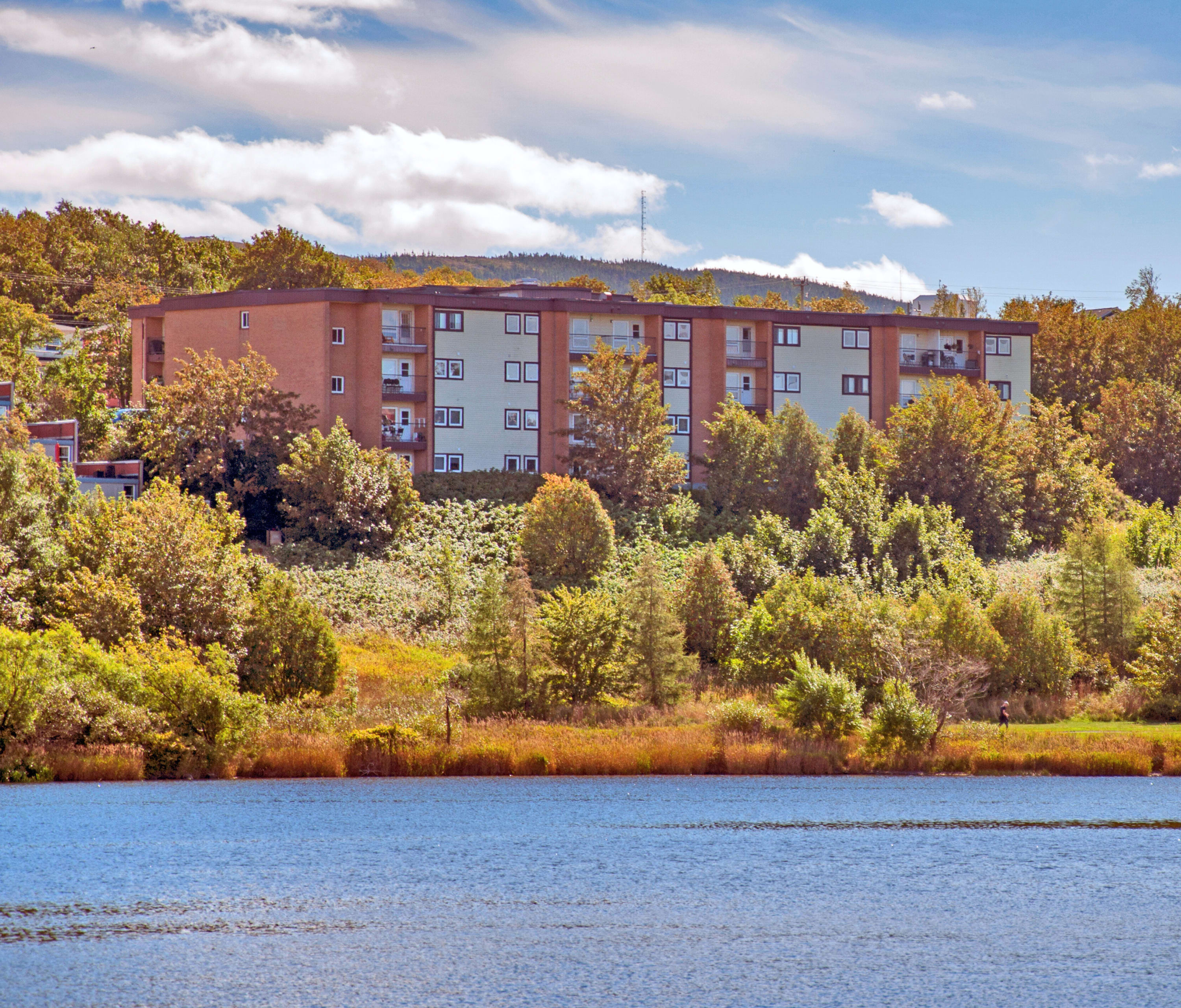 Photo 2 of Forest Manor Apartments - 1 Bedroom - 835 Ft² - $1250 rental property