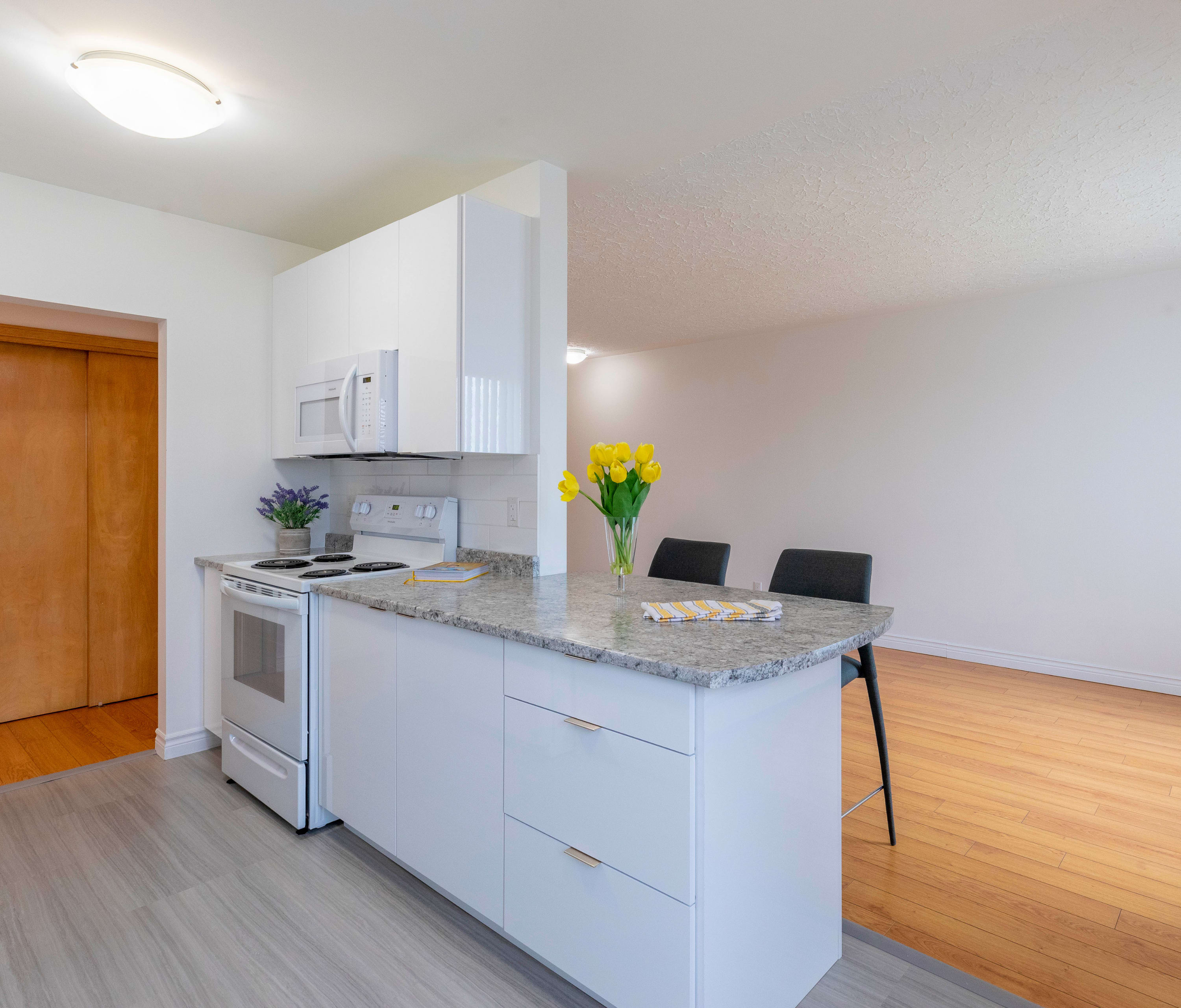 Photo 3 of Lorentz Apartments - Two Bedroom - 709 Ft² - $1375 rental property