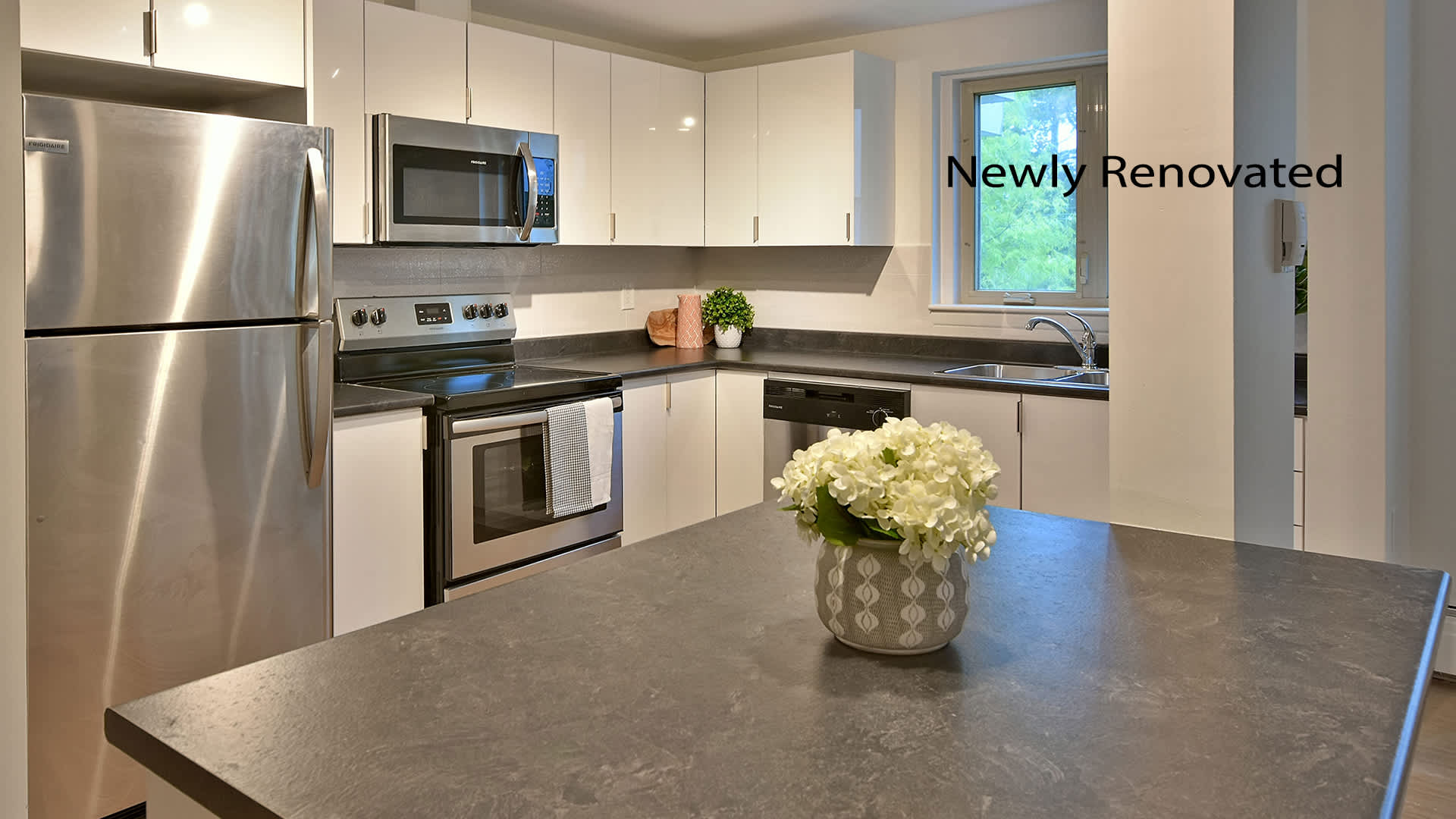 Photo 3 of Elroy Apartments - One Bedroom - 650 Ft² - $1395 rental property