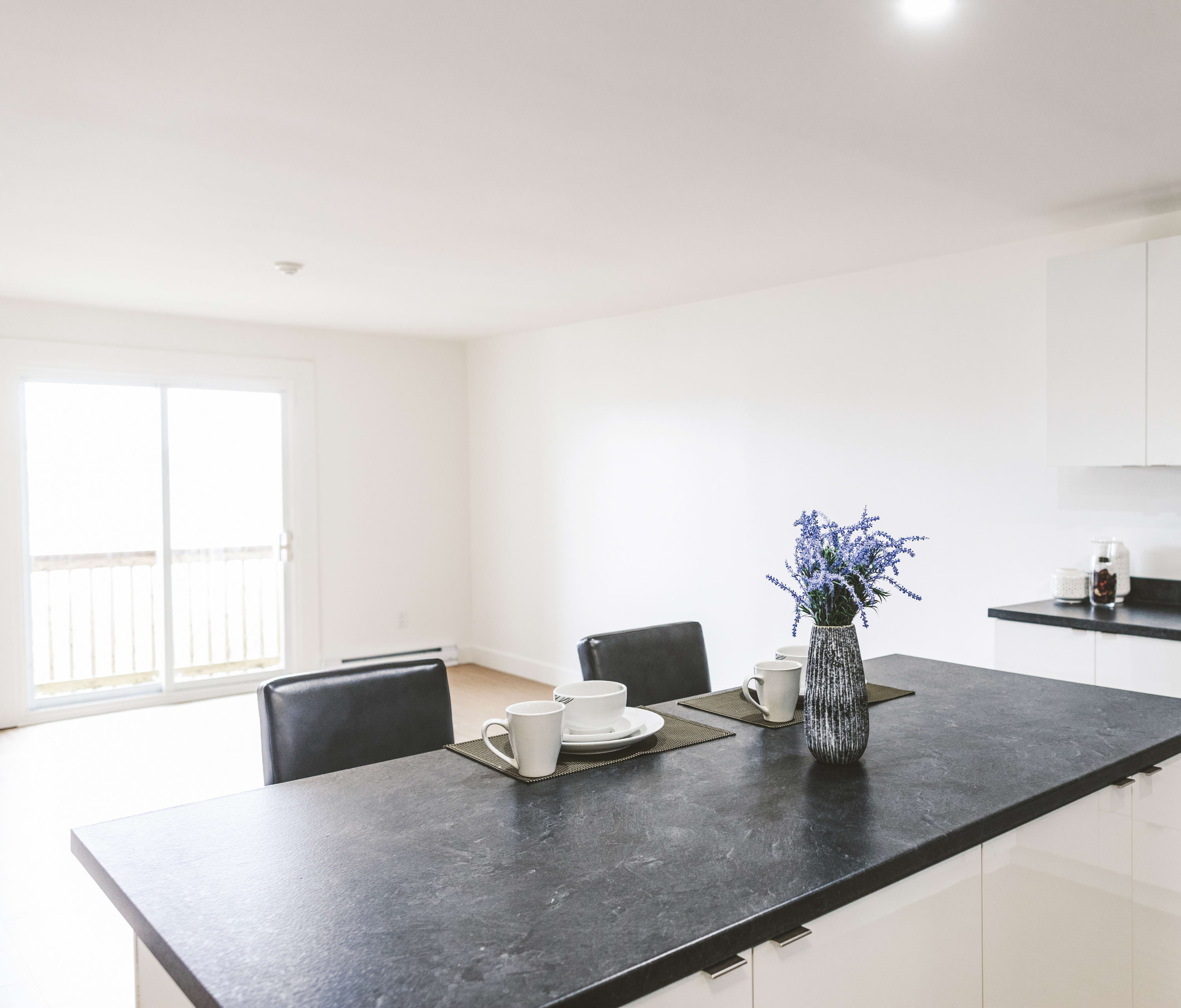 Pleasant View Manor - One Bedroom 3