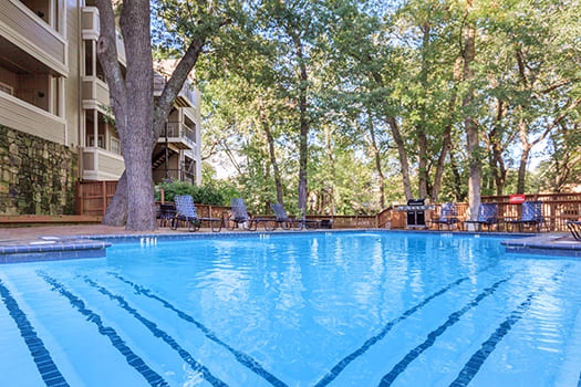 Rectangular outdoor pool with lounge chairs, a large tree, and beige apartment buildings with balconies at Creekview Apartments