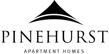 A black screen with a white line in the middle.