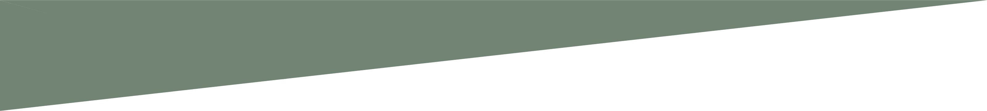 bg-shape pattern