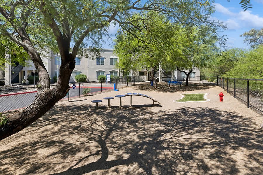 Dog park at Ridgeline Apartment Homes