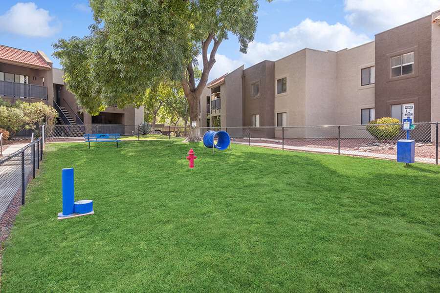 Dog park at Saddle Ridge