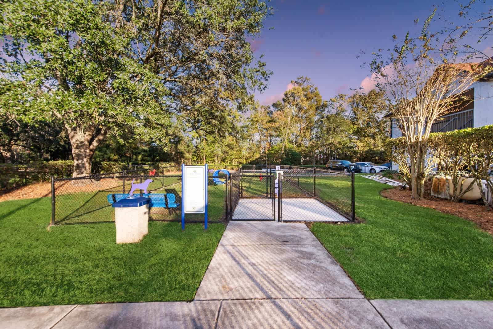 Dog park at Lenox Cove Apartments