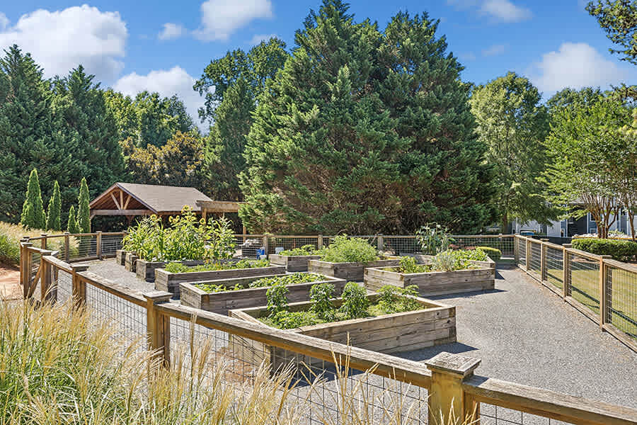 Lakeside Retreat at Peachtree Corners 3 of 12