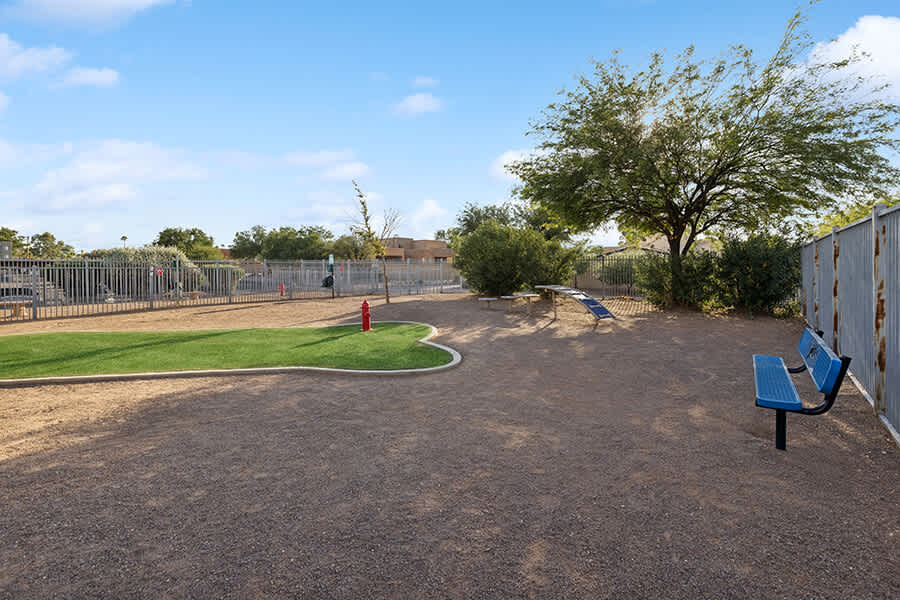 Dog park at Tanque Verde Apartments (2 of 3)