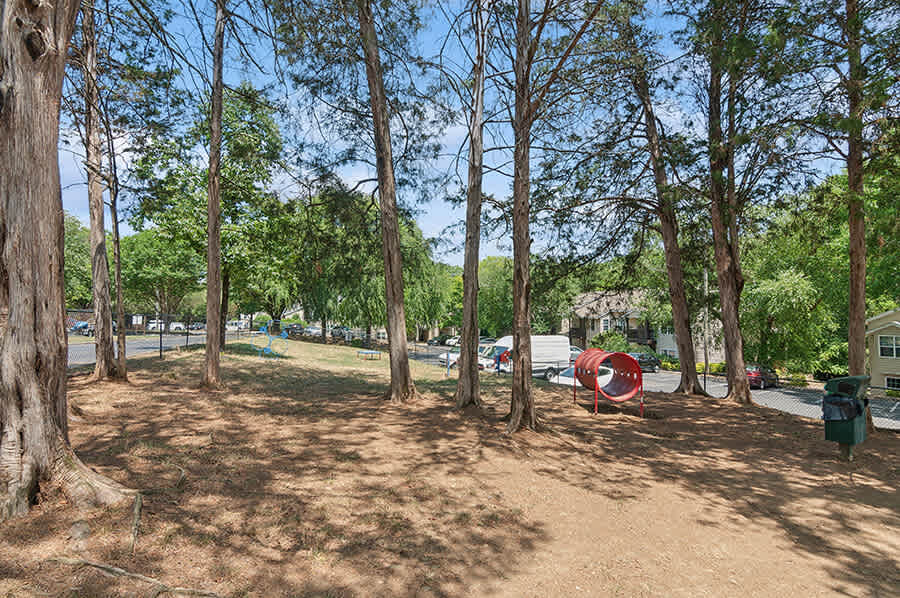 Park at Caterina 7 of 12