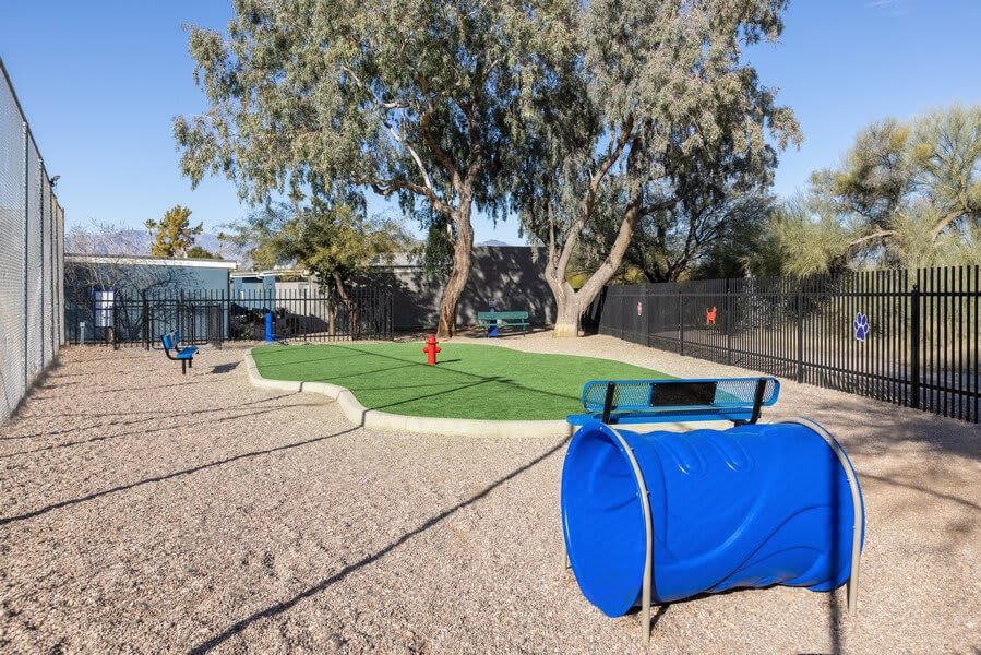 Dog park at Lakeside Casitas (1 of 2)