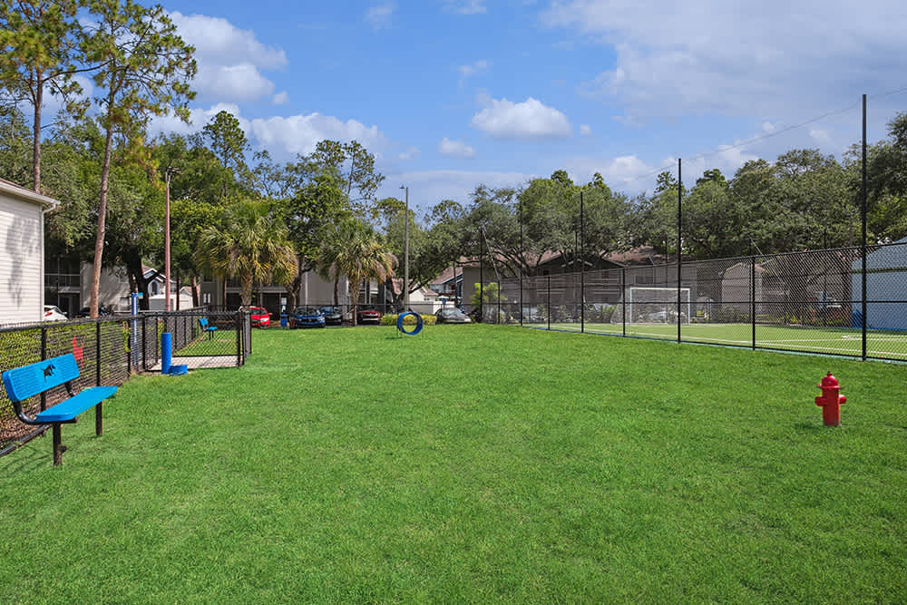 Dog park at Retreat at Crosstown (2 of 2)