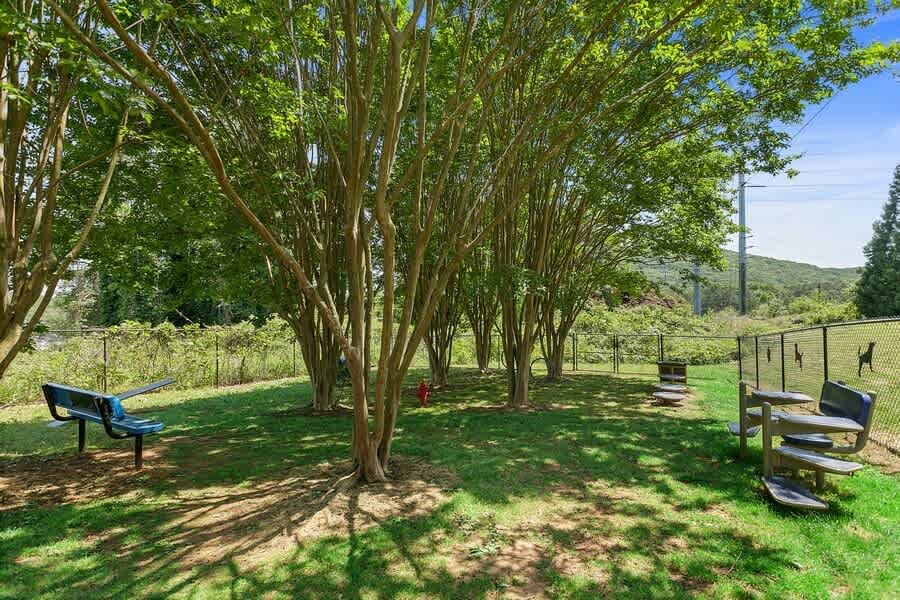 Dog park at Parkside at Town Center